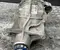 Original (gebraucht) BMW 8663681, 3.23 / 8663681, 323 3 (G20) 2019 Hinterachsgetriebe - Bild 2
