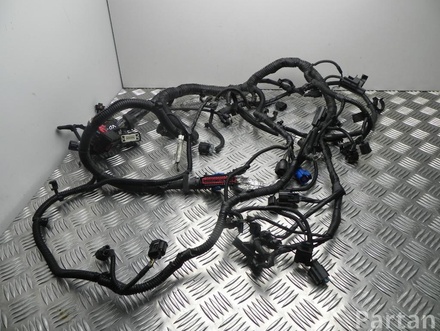 FORD AV6T-14A280, BV6T-12A690 / AV6T14A280, BV6T12A690 FOCUS III 2014 Engine harness