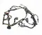 Gebrauchtes Original Jaguar 8W83-14631-BB, P5J623315 / 8W8314631BB, P5J623315 XK Coupe (X150) 2013 Kabelsatz für Innenraum - Bild 2