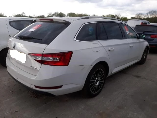 Superb baltas - Photo 3