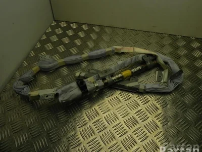 Lexus GJ6019573 IS II (GSE2_, ALE2_, USE2_) 2006 Airbag de tête - Image 1