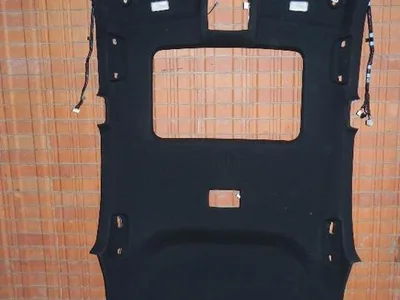 Lexus NX (_Z1_) 2015 Revêtement de toit - Image 1