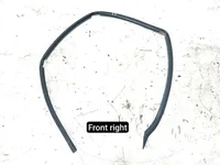 Aston Martin 803H-L02 / 803HL02 VIRAGE Volante 2012 Junta de puerta Right Front