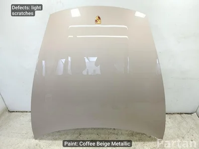 Porsche Taycan 2021 Capó del motor - Imagen 1