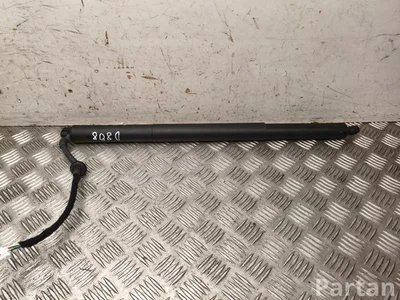 Gebrauchtes Original Ford R2KB-R402A55-AA / R2KBR402A55AA CAPRI (CX740L) 2024 Gasfeder - Bild 1