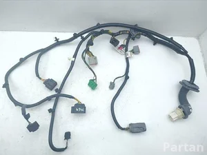 Aston Martin BG43-14631-BA / BG4314631BA VIRAGE Volante 2012 Kable wnętrza Drzwi