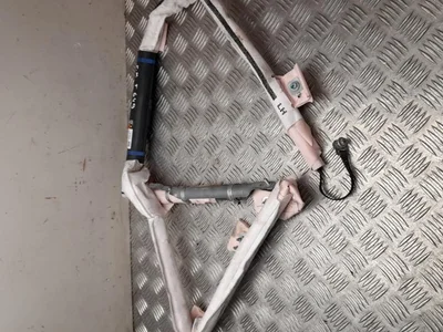Tesla 1005261-00-D / 100526100D MODEL S 2015 Galvos oro pagalvė kairė - Paveiksliukas 1