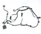 Mercedes-Benz A2975403924, A2975403924, A223905005, A2239054000, A2235406515 EQS (V297) 2023 Kabelsatz Einparkhilfe - Bild 1