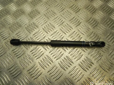 BMW 7397493 X3 (G01) 2018 Ressort à gaz - Image 1