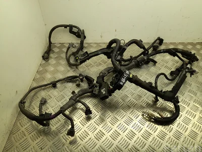 Lexus 82121-76042 / 8212176042 CT (ZWA10_) 2018 Fils du compartiment moteur - Image 1