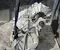 Tesla 1035000-00-J, L2S / 103500000J, L2S MODEL S 2014 Complete Engine Front - Image 2