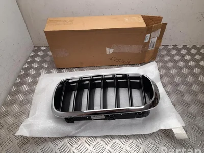 BMW 7 373 689, 51 13 7 373 689 / 7373689, 51137373689 X6 (F16, F86) 2015 Grotelės - Nuotrauka 1