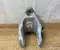 Renault MEGANE E 2024 Motorlagerung - Bild 2