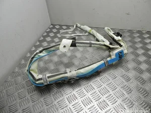 Ford DM51-14K159-CB / DM5114K159CB FOCUS III 2013 Airbag de tête