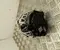 Dacia 231002175R Sandero III (DJF/BJI cross) 2022 Alternador - Imagen 3