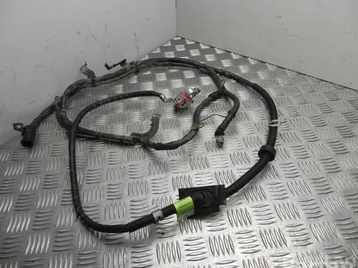 Mercedes-Benz A 204 440 7351 / A2044407351 E-CLASS Coupe (C207) 2011 Câbles de batterie - Image 1