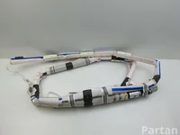 Chrysler 68224527AF, P68224527AF Pacifica 2021 Airbag de tête