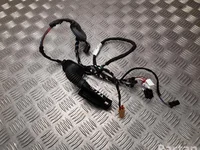 Volkswagen 3G9 971 694 F / 3G9971694F PASSAT Variant (3G5) 2022 Cables de salón Puerta