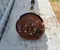 Ford JX673B436CAD Focus IV (C519) estate 2019 Drive Shaft Right Front - Image 2