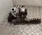 Volkswagen 05L 253 019 F / 05L253019F PASSAT Variant (3G5) 2022 Turbolader - Bild 1