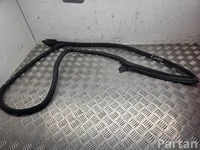 Audi G11488901 A5 Sportback (F5A) 2021 Türdichtung vorne links