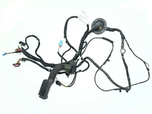 Audi 4KE971687E, 4L0.971.841Q, 5Q0973115, 4H0973702A / 4KE971687E, 4L0971841Q, 5Q0973115, 4H0973702A E-Tron 2019 Harnais pour intérieur Porte