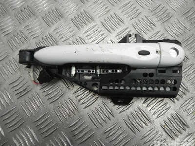 Renault 806077201R ZOE (BFM_) 2020 Poignée de porte Left Front - Image 1