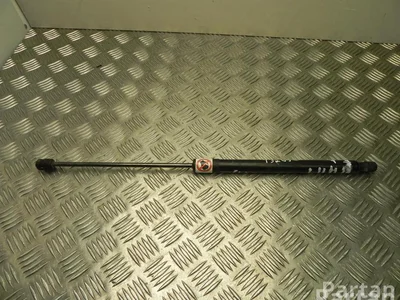 Ford AV11-R406A10-AB / AV11R406A10AB B-MAX (JK) 2016 Ressort à gaz - Image 1