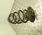 Mercedes-Benz A4473240684 VITO Box (W447) 2018 coil spring Rear - Image 1