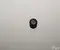 Volvo 8685461 C70 II Convertible 2008 Cigarette Lighter - Image 2