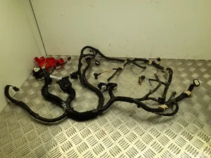 Ford USA LJ8T-12B637-NBH / LJ8T12B637NBH Mustang Mach-E 2022 Harnais