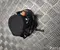 Gebrauchtes Original Volvo P8891872376 EX30 (416) 2024 Sicherheitsgurt hinten rechts - Bild 1