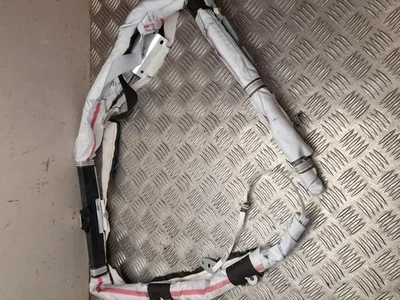 Ford DS73-54042D94-BH / DS7354042D94BH MONDEO V Saloon 2019 airbag para cabeza - Imagen 1