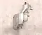 Gebrauchtes Original McLaren 11F1178CP 570S 2016 Trockensumpf-Öltank - Bild 1