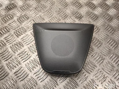 BAIC A00123868, A00123869 X75 2025 Loudspeaker grille - Image 1