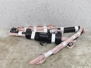 Ford L1TBA042D95AD Puma 2020 Airbag de tête