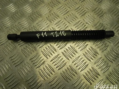 BMW 7210557 5 Touring (F11) 2011 Ressort à gaz - Image 1