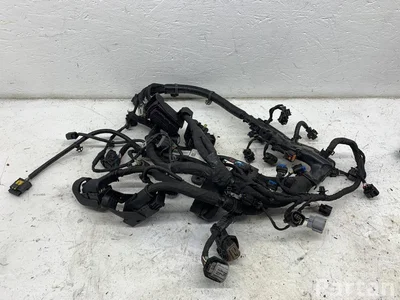 Hyundai 91410G2020 IONIQ (AE) 2021 Cables de la sección de motor - Imagen 1