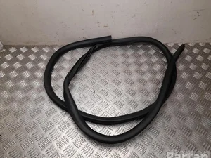 Ford USA LJ8B-R20708 / LJ8BR20708 Mustang Mach-E 2022 Joint d'étanchéité de porte Left Rear