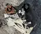 BMW 27107889033, ATC13-1 / 27107889033, ATC131 3 (G21) 2021 Transfer Case - Image 1
