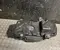 Audi 8MA131878B Q5 GUB 2025 Adblue Bakas - Paveiksliukas 1
