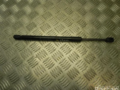 BMW 7308065 X5 (F15, F85) 2016 Ressort à gaz - Image 1