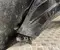 BMW X5 (G05) 2018 Wing right side - Image 2