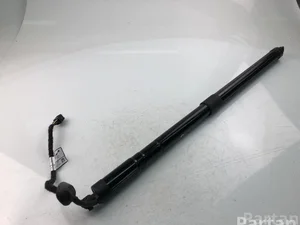 Volvo 32296915 XC60 II (246) 2021 Springs/Struts & Shock Absorbers