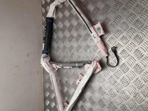 Tesla 1005261-00-D / 100526100D MODEL S 2015 Galvos oro pagalvė kairė