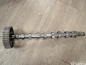 Renault 130242580R, 873303610 KANGOO / GRAND KANGOO (KW0/1_) 2020 Arbre à cames de pignon