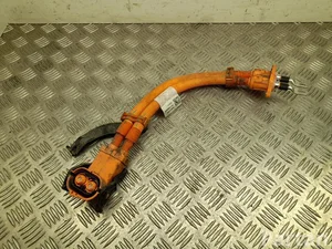 Polestar 6600136900 4 2025 Harnais