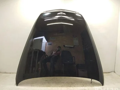 Bentley CONTINENTAL FLYING SPUR (3W_) 2012 Capot moteur - Image 1