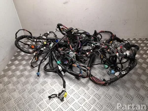 Tesla 1004416-93-N, 1004417-06-N, 1004429-00-P / 100441693N, 100441706N, 100442900P MODEL S 2015 Cables de salón