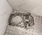 Seat 05E103601F LEON Sportstourer (KL8, KLD) 2025 Oil Pan - Image 3